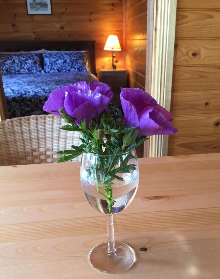 Bed and Breakfast Molly'S Chase Emu Flat Екстер'єр фото